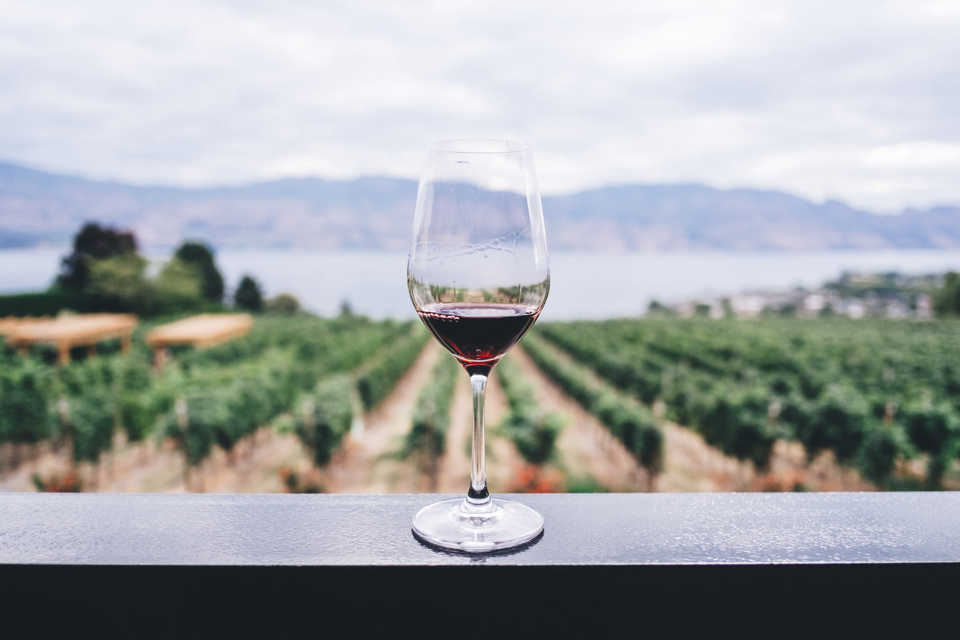 What makes wine organic?
