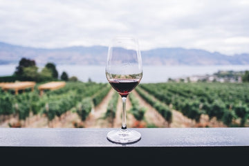 Glass on red wine over ledge overlooking vineyard