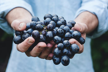 Person holding red grapes