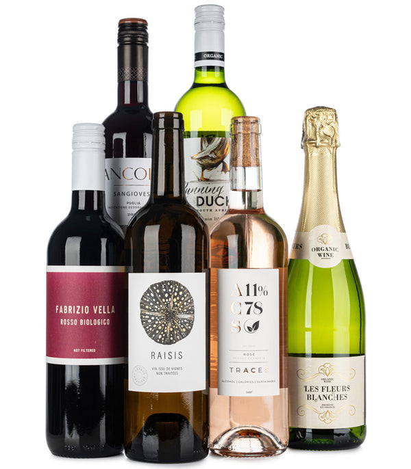 Clean Mixed Wine Case