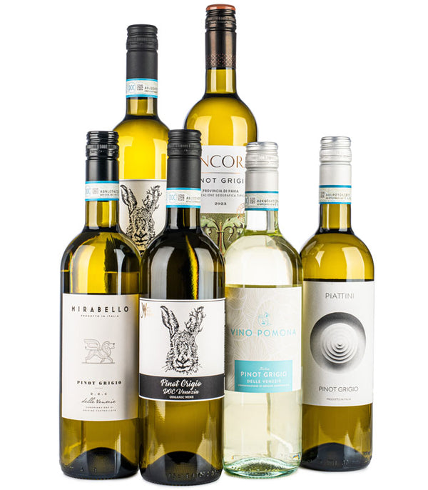 Popular Pinot Grigio Case