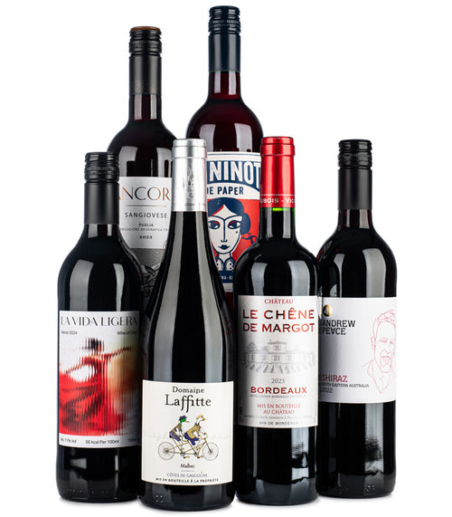 Lifestyle Red Wine Case