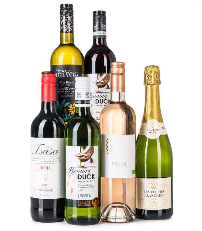 Organic Wine Case Zero Sugar Organic Wine Case Drink Well DrinkWell