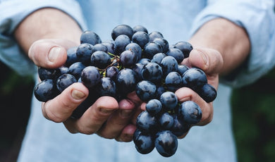 Person holding red grapes