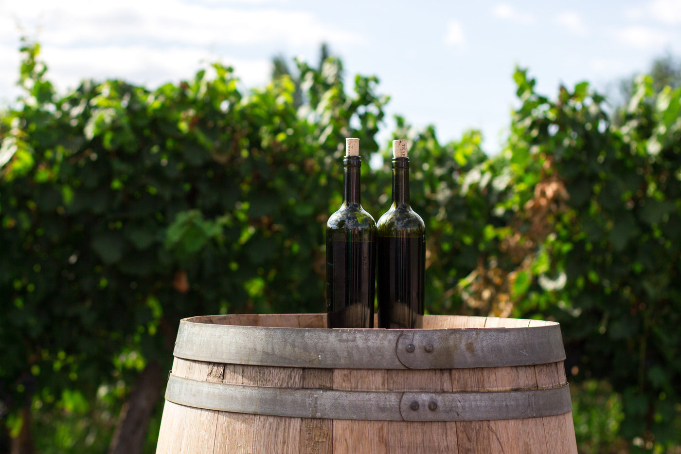 Can You Drink Wine on Keto?