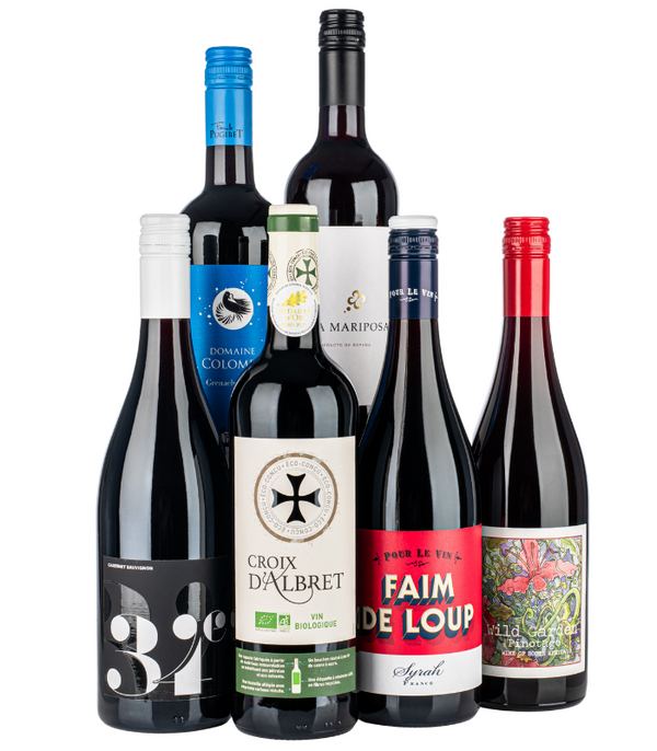 The Wine Club