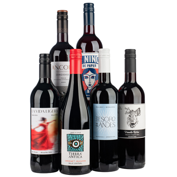 The Wine Club