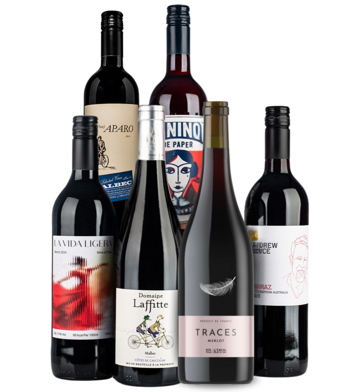 Lifestyle Red Wine Case