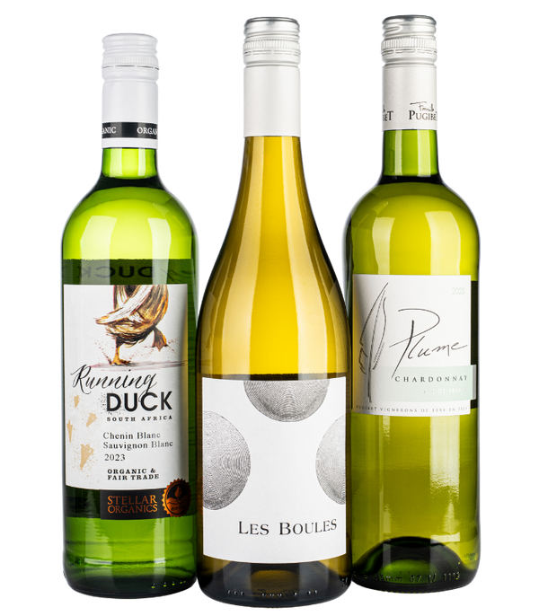 The Wine Club