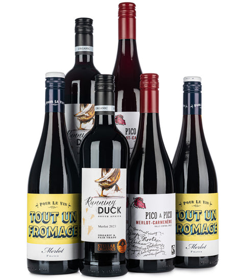 Feel Good Merlot Case