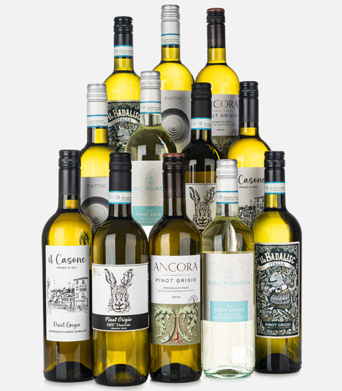 Popular Pinot Grigio Case 12