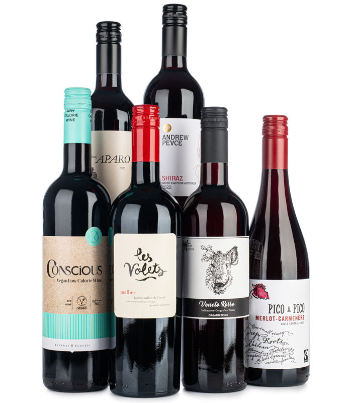Lifestyle Red Wine Case