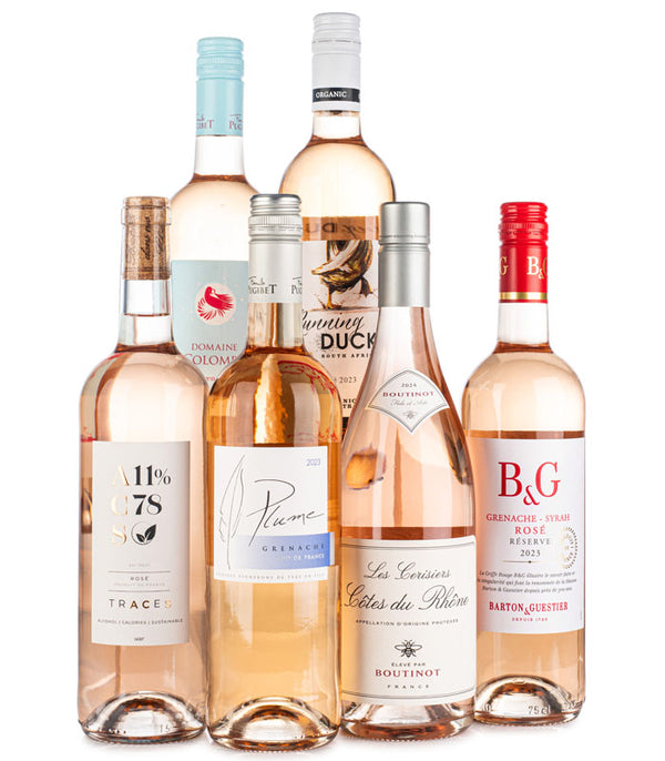 Lifestyle Rosé Wine Case