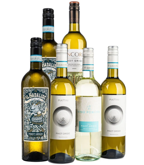 Popular Pinot Grigio Case