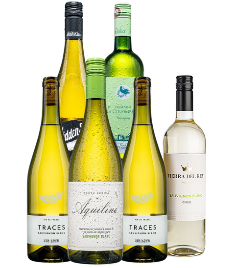 Smarter Sauvignon Blanc Case