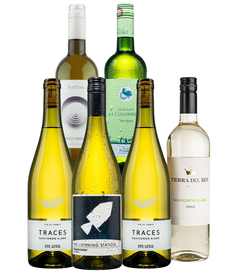 Lifestyle Wine Case