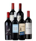 Malbec Case - NEW!