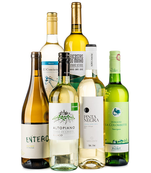 Lifestyle White Wine Case